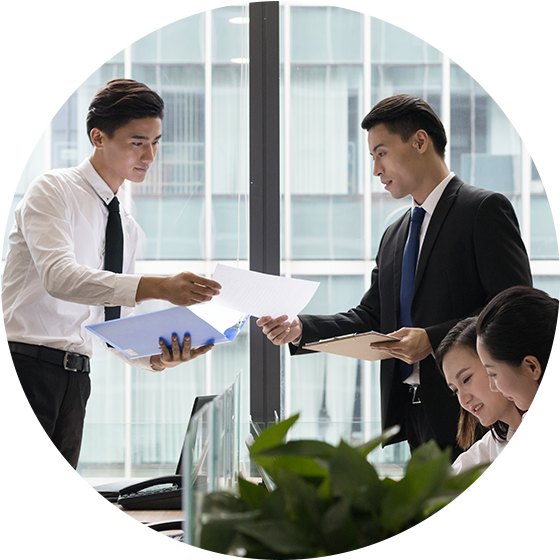 咨询和签订合同阶段